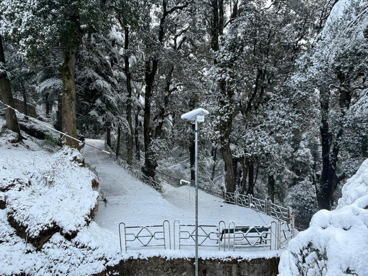 Hotel Jakhu Heights Šimla Exteriér fotografie